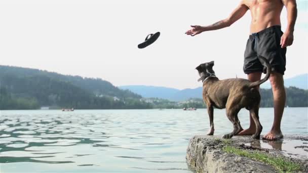 Hund med hans ägare spelar på sjön — Stockvideo