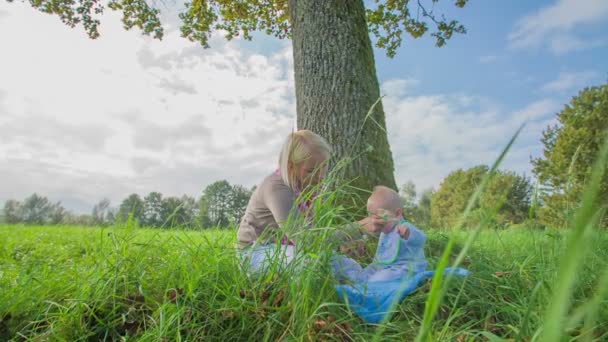 Madre alimentando a un recién nacido al aire libre — Vídeo de stock