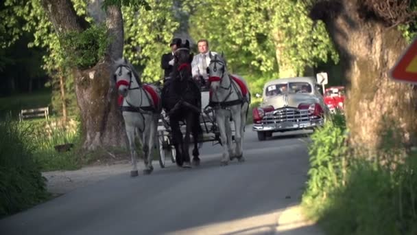 ビンテージ車の行をリードする慎重なコーチ — ストック動画