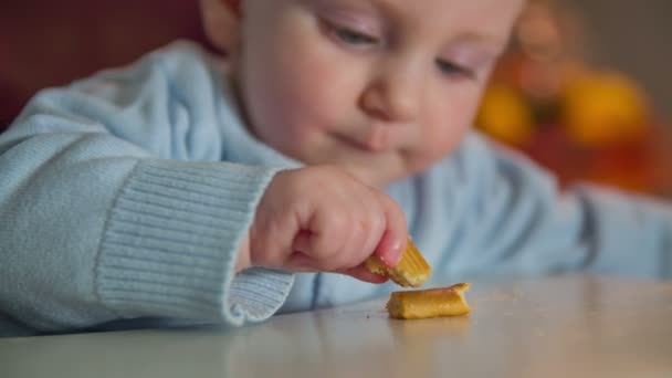 De vermoeide jong kind spelen met koekjes — Stockvideo