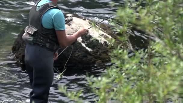 Pesca do pescador com isca de pesca com mosca — Vídeo de Stock