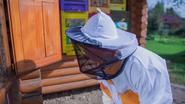 Niño apicultor comprobar en las abejas — Vídeo de stock