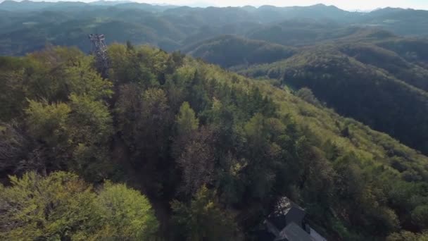 Zoek plek midden in het bos — Stockvideo