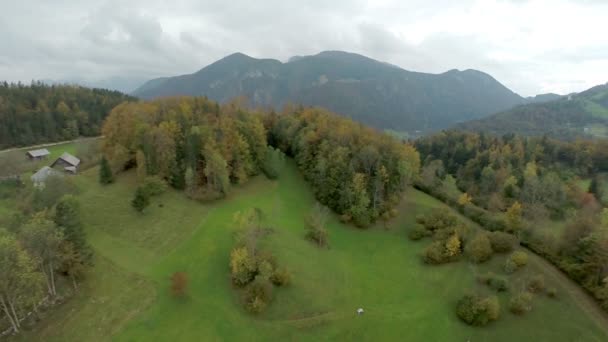 草地和森林的空中拍摄 — 图库视频影像