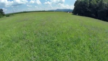 Yeşil çim eniyi üzerinden uçun