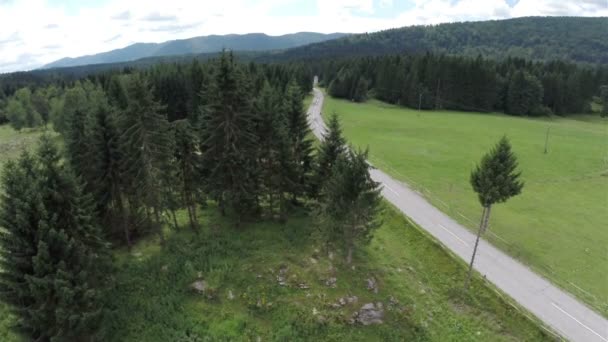 Estrada rural com um monte de abetos ao redor — Vídeo de Stock