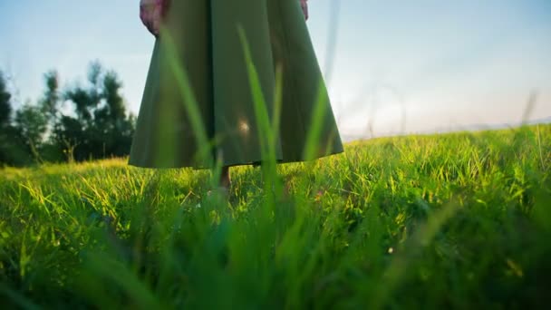 Stand van de persoon in gras bij zonsondergang — Stockvideo