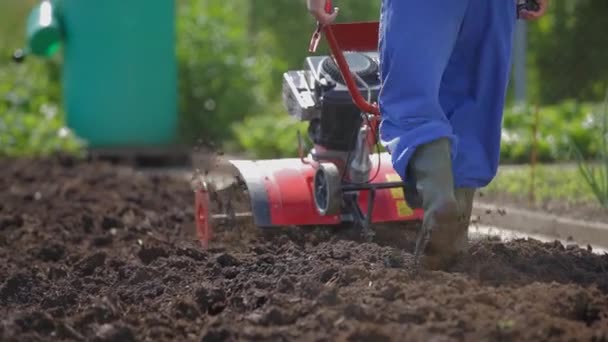 Som arbetar med egen trädgård — Stockvideo