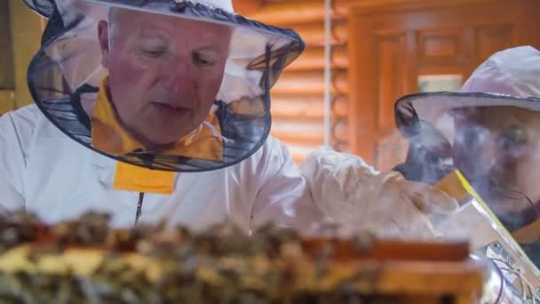 Opa und Enkel schauen auf heimische Bienen — Stockvideo