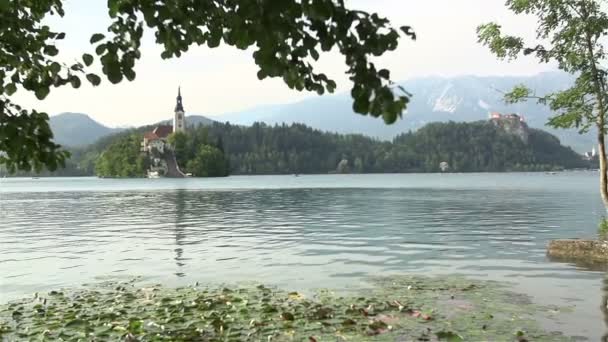 Utsikt över sjön Bled, kyrkan och slottet — Stockvideo