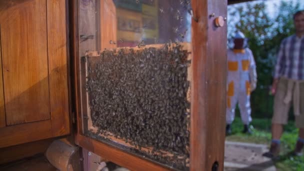 Touristenpaar beeindruckt von den Bienen — Stockvideo