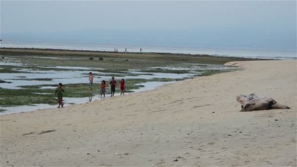 Пляж и море с некоторыми людьми — стоковое видео