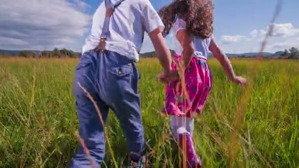 Frère et sœur courant sur une grande herbe — Video