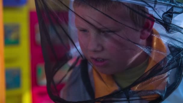 Niño apicultor chequeando a una abeja trabajadora — Vídeos de Stock