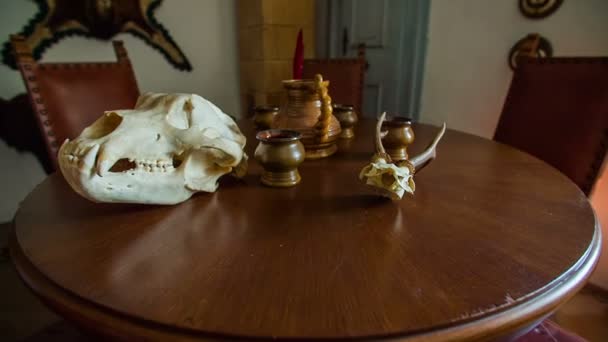 Mesa de madera llena de trofeos de animales — Vídeo de stock