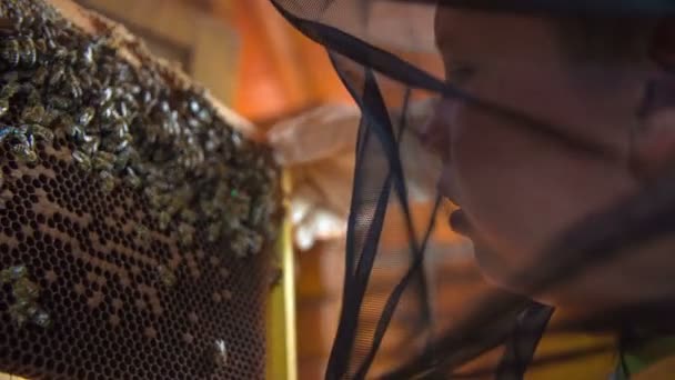 Παιδί μελισσοκόμο ο οποίος έχοντας στο χέρι ένα πάνελ από την κυψέλη — Αρχείο Βίντεο