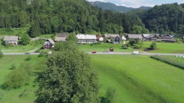 Derrière l'arbre abattu des voitures sur la route — Video