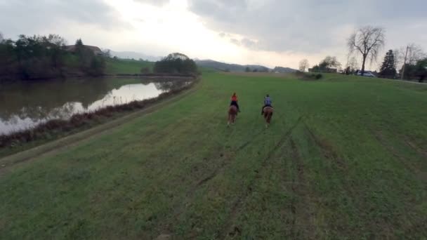 Caballos galopando por el campo — Vídeo de stock