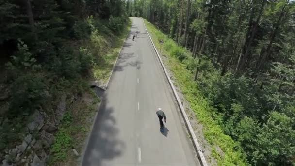 Patinadores en longboard conduciendo a través de bosques de abetos — Vídeo de stock