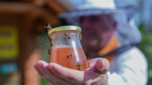 Las abejas en el frasco de vidrio lleno de miel — Vídeos de Stock