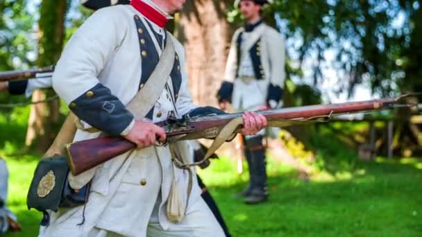 Training of Napoleon's army — Stock Video