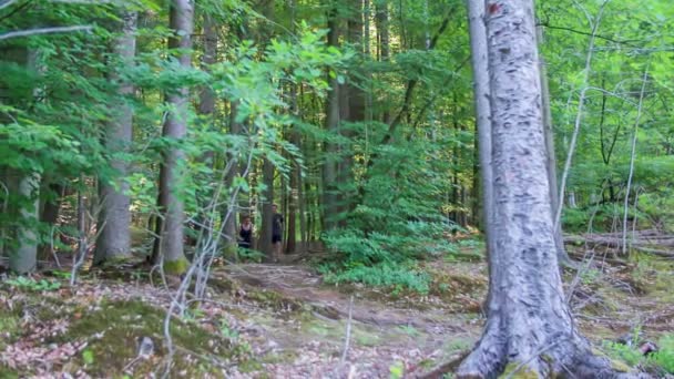 Couple is jogging through a forest — Stock Video