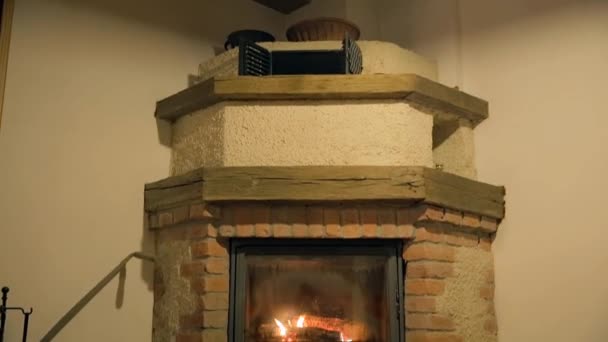 Chimenea interior con leños ardiendo — Vídeos de Stock