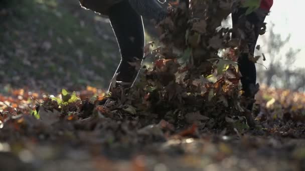 Женщины бросают осенние листья — стоковое видео