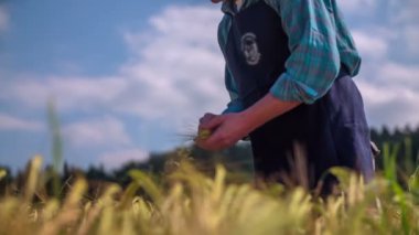 Çiftçi malzeme çekme buğday 