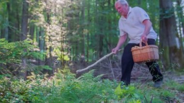 Çift bir orman yoluyla koşu ve mantar bir seçici görmek