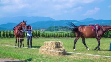 iki büyük binme stables içinde onların at nalı yürüyor