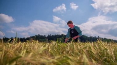 Çiftçi buğday arıyor
