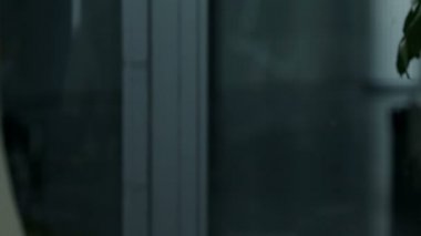 kadın groceryies ile yürürken canlı