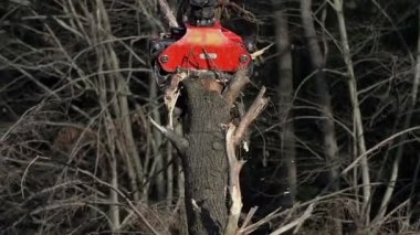  makine ağaç doğrama 