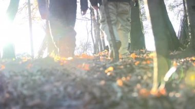 Yapraklarda yürüyen adam