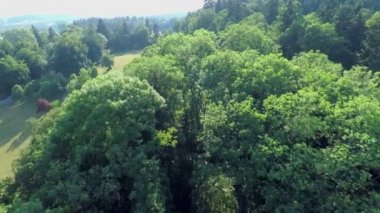Restoran dışında güzel sahne