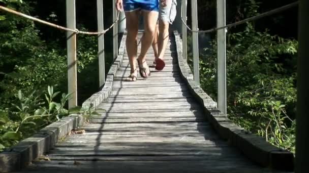Jungs überqueren eine Holzbrücke — Stockvideo