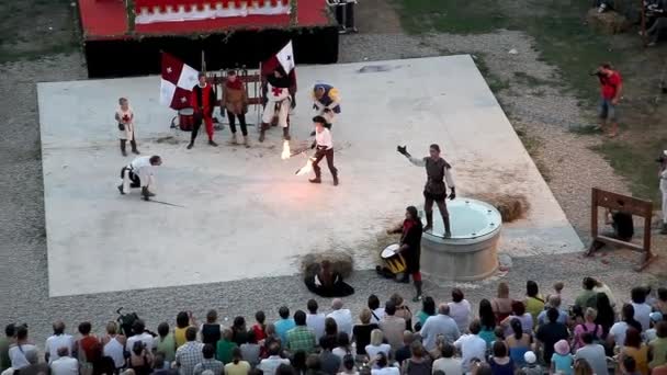 Festiwal z rekonstrukcji walki rycerzy — Wideo stockowe