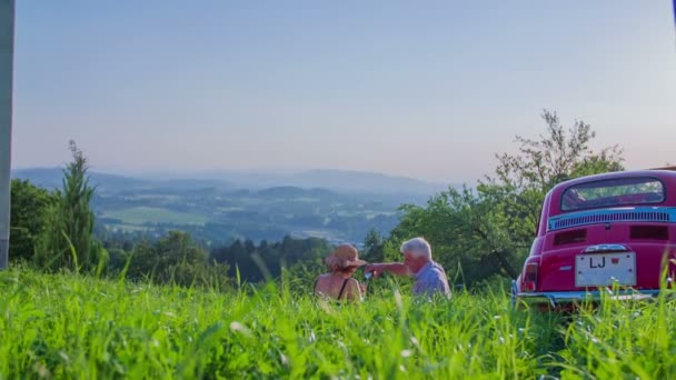 Starsza para organizująca piknik — Wideo stockowe