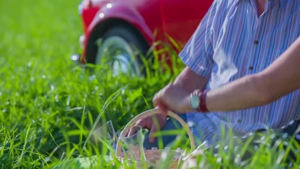 Seniorenpaar beim Picknick — Stockvideo