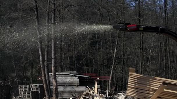 Macchinario sta tagliando gli alberi — Video Stock