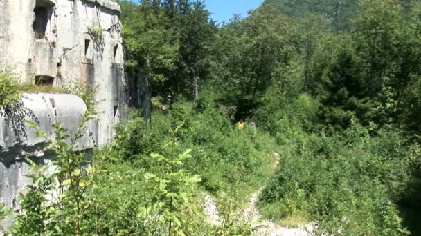 Adolescentes amigos es en un aventurero montañismo tira — Vídeos de Stock