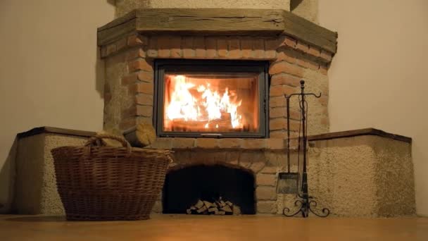 Indoor fireplace with a  logs burning — Stock Video