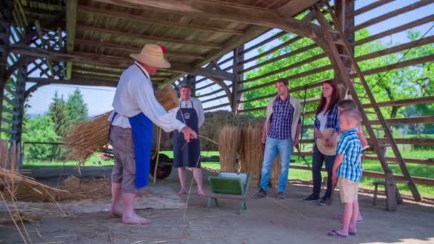 Фермеры, работающие под историческим сенокосом — стоковое видео