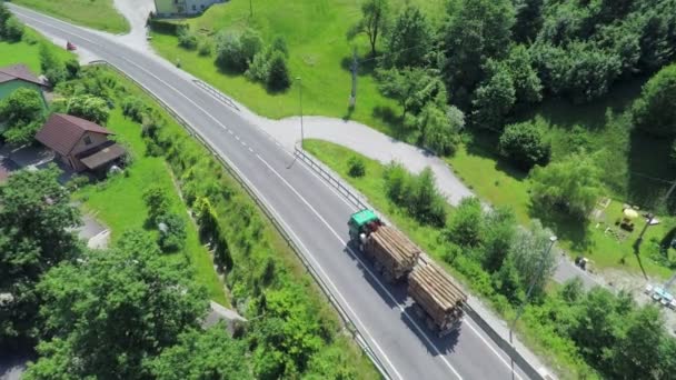 Een vrachtwagen is rijden op een hoofdweg — Stockvideo