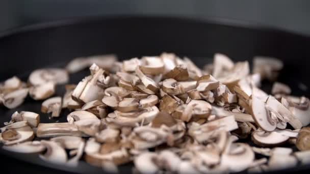 Малих секторів білих гриба — стокове відео