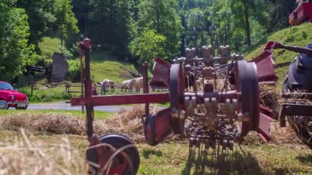 Tahač a seno, stroj na sklizeň — Stock video