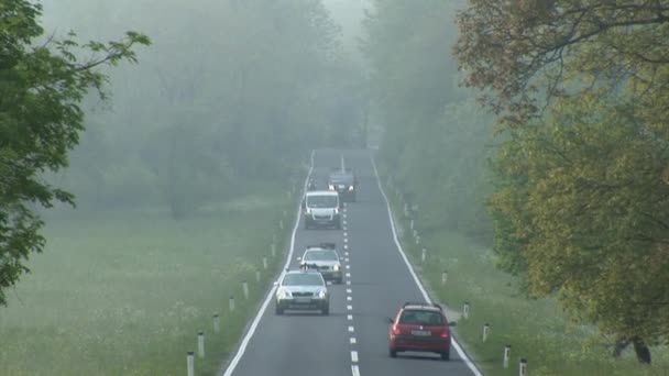 Course cycliste à travers la Slovénie . — Video