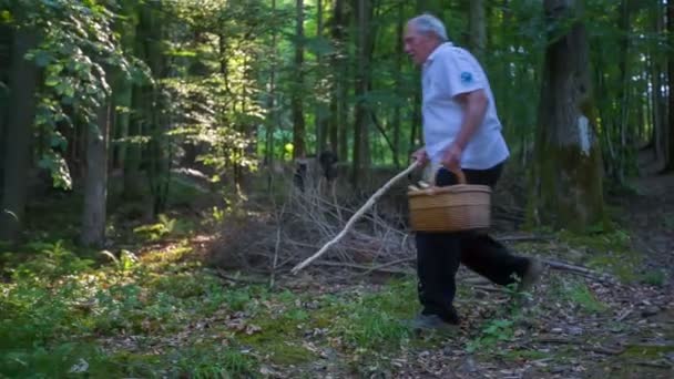 De mens is blij te hebben gevonden paddestoelen — Stockvideo