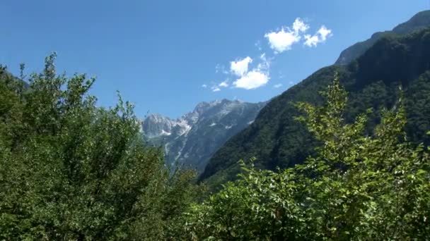 Skogen och höga alpina berg — Stockvideo